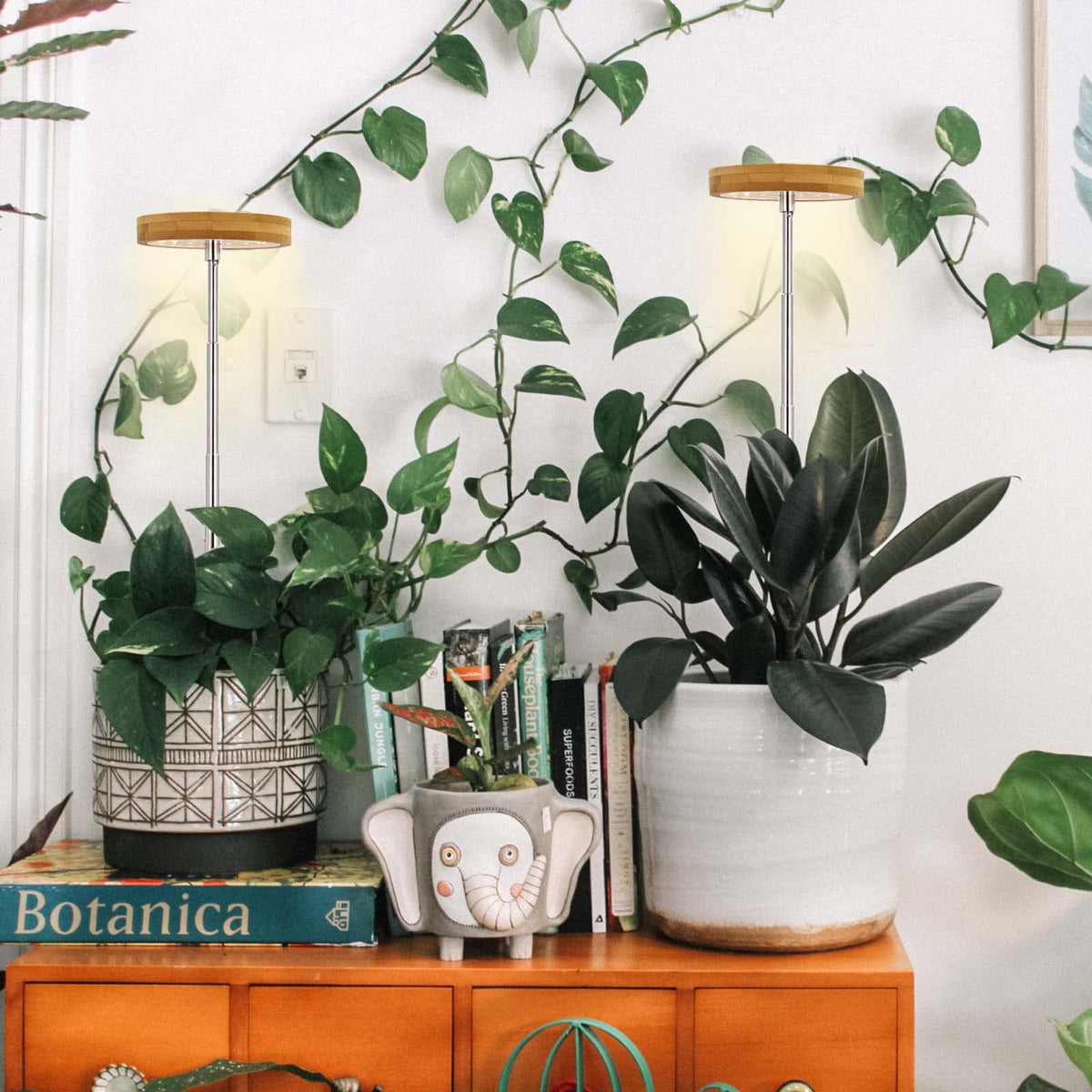Height-adjustable pole enables flexible placement for taller or nearby plants