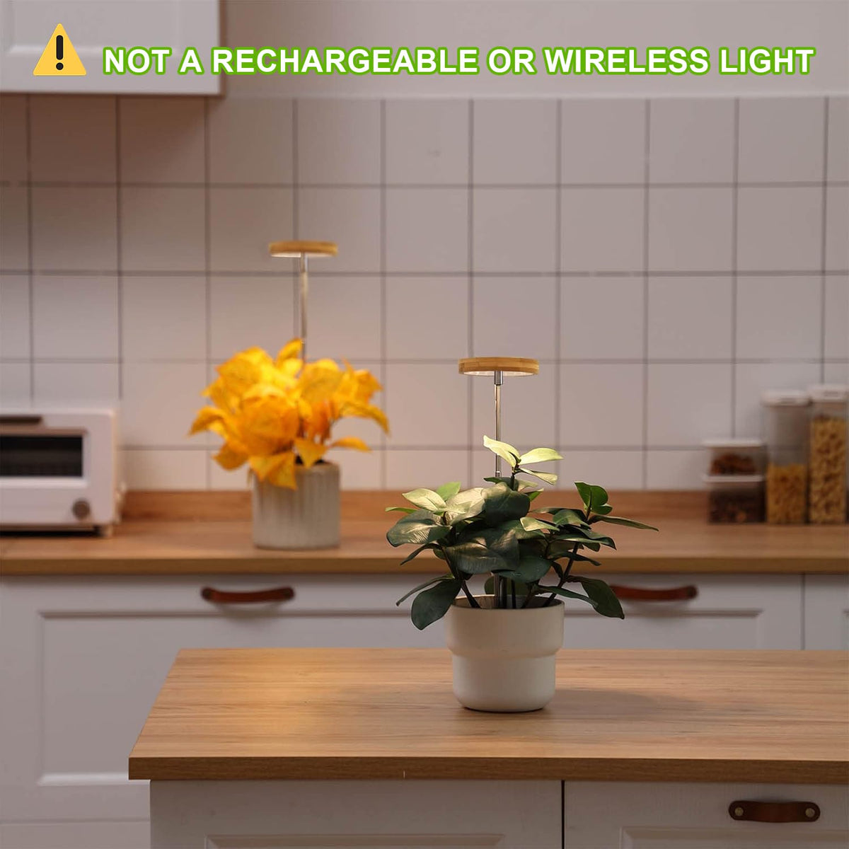 LEDs illuminate herbs and succulents with targeted spectrum for steady growth