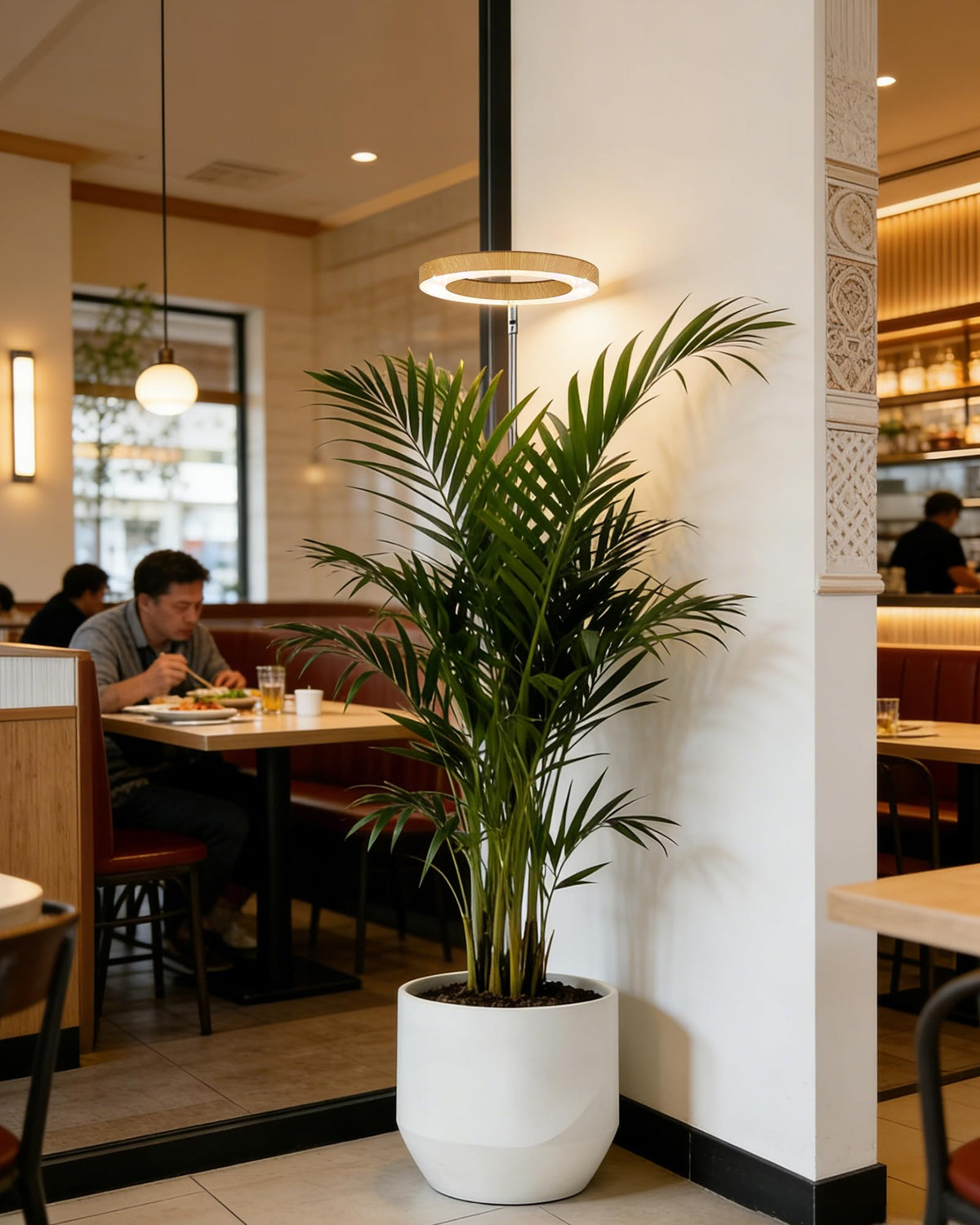 Yadoker Grow Light ideal for homes and offices with indoor plants.