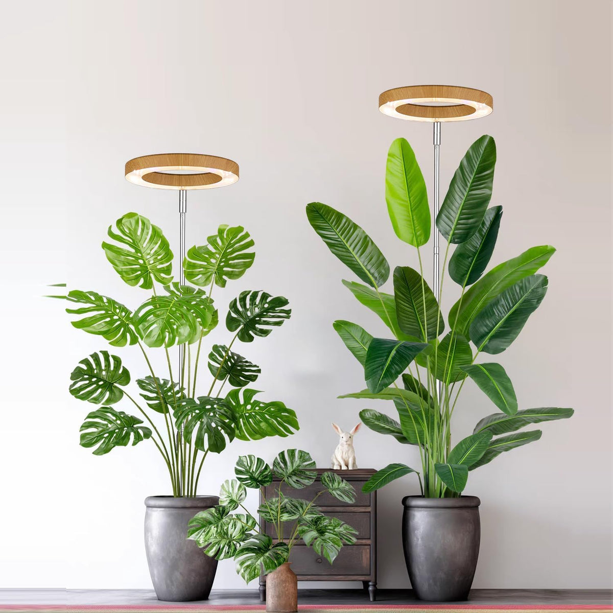 Yadoker Grow Light enabling tall indoor trees with even light distribution.