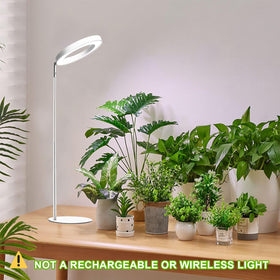 Yadoker grow light in use brightens indoor plants for healthier growth.