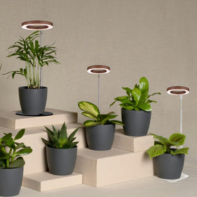 yadoker plug-and-play grow light ready to use with no assembly