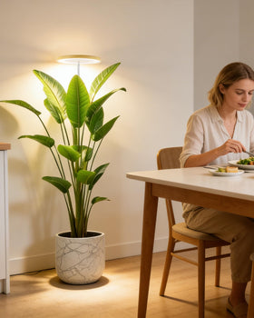 yadoker sleek bamboo base blends with home decor
