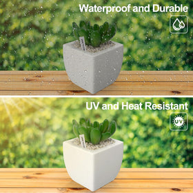 YaeCCC flowers and shrubs labels aid quick plant recognition.