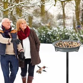 Stylish garden decor that attracts birds and brightens outdoor spaces