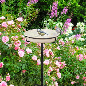YALINKA easy-clean feature helps keep water fresh for visiting birds.