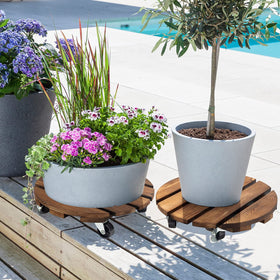 Yangbaga plant caddy suitable for indoor and outdoor use on patios.