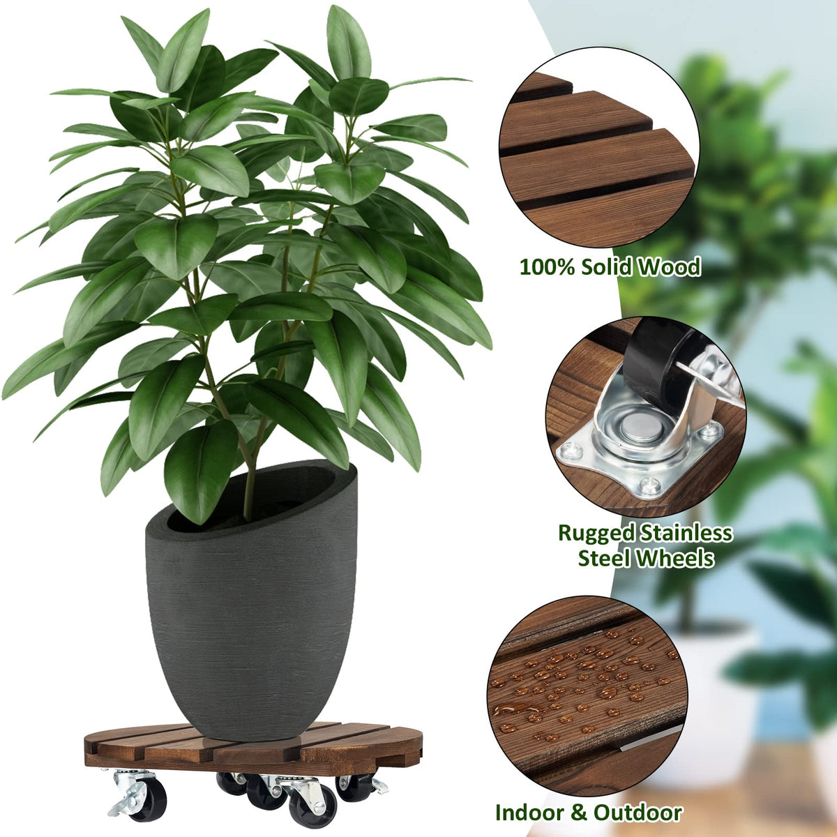 Yangbaga wood plant caddy demonstrates pot-fit for large containers.