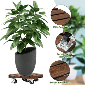 Yangbaga wood plant caddy demonstrates pot-fit for large containers.