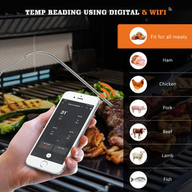 YAOAWE digital probe provides easy readings with WiFi or digital controls