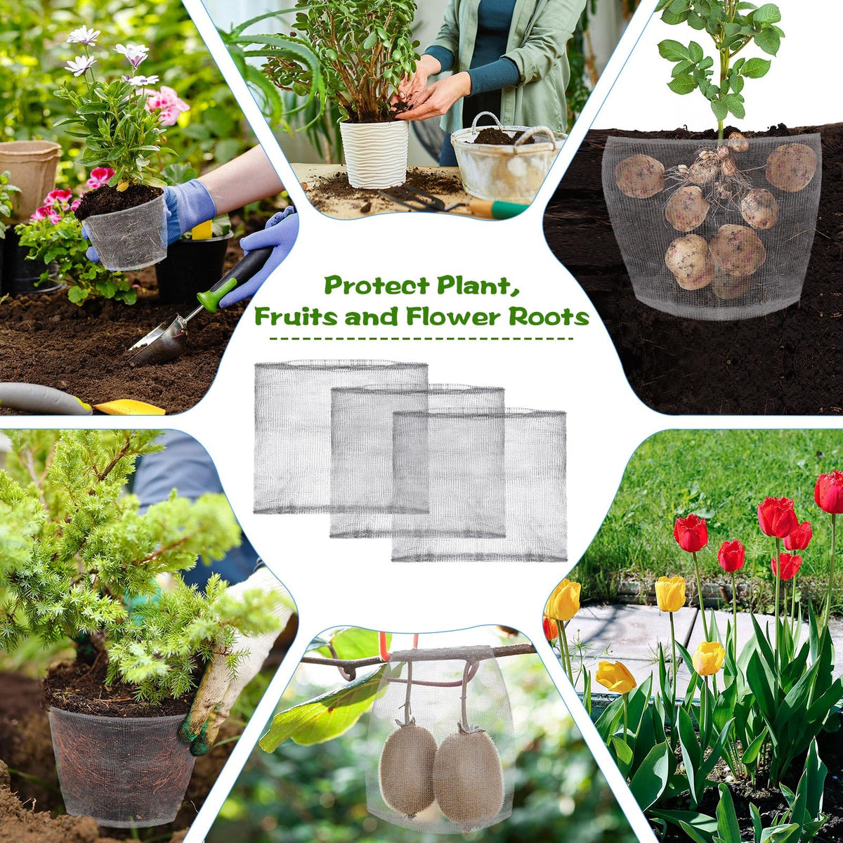 Yaocom gopher basket with stainless steel mesh guards plant roots from burrowing pests.