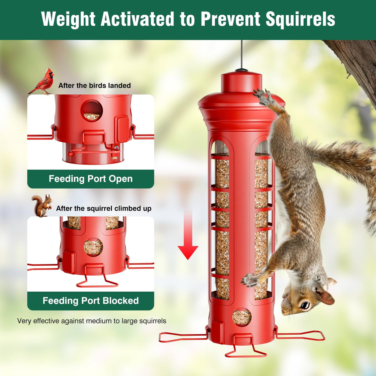 Yarbirder feeder bottom-port design allows multiple birds to feed