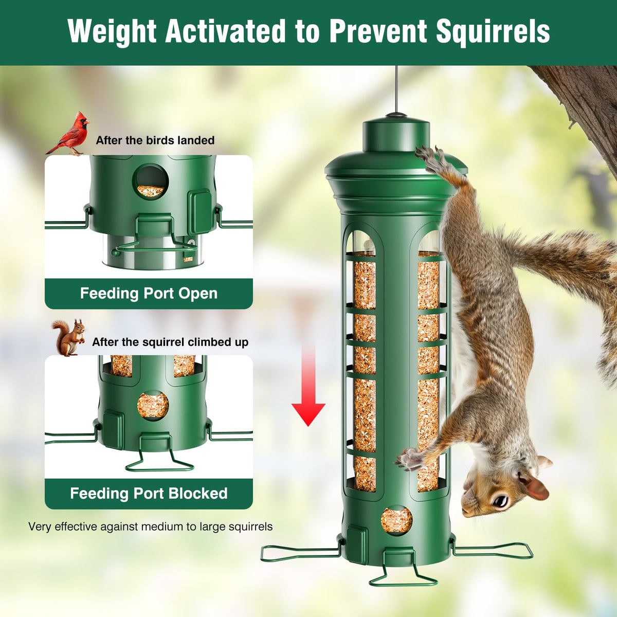 Yarbirder removable base allows deep cleaning without tools for quick maintenance