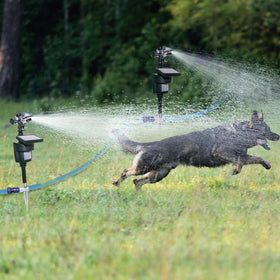 Spray action from the Yardeen repellent deters birds and other animals.
