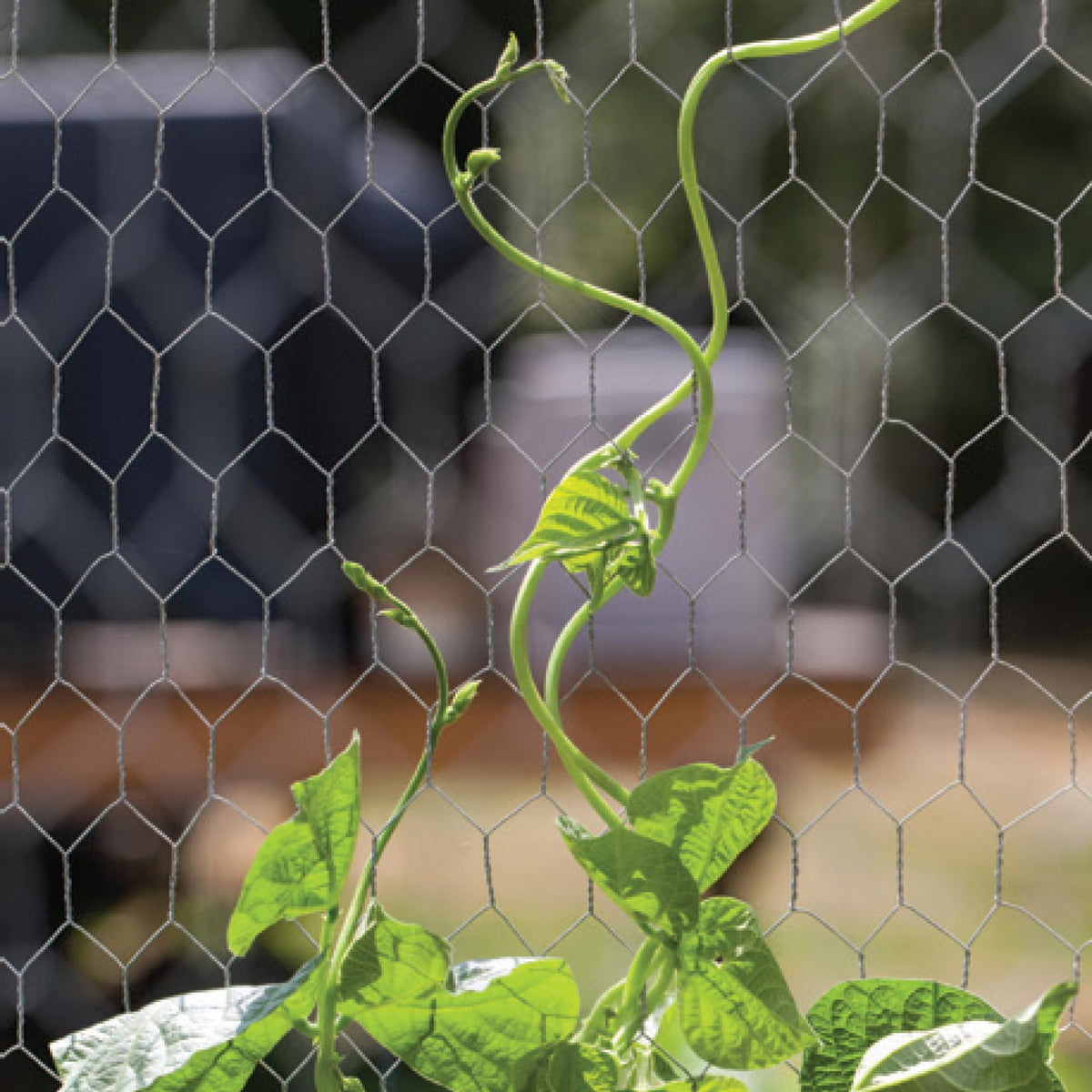 YARDGARD netting forms a small animal enclosure beside a vegetable plot.