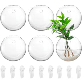 Yarlung 6-pack wall-hanging terrarium globe 4.7 inch adds modern decor for vertical gardening