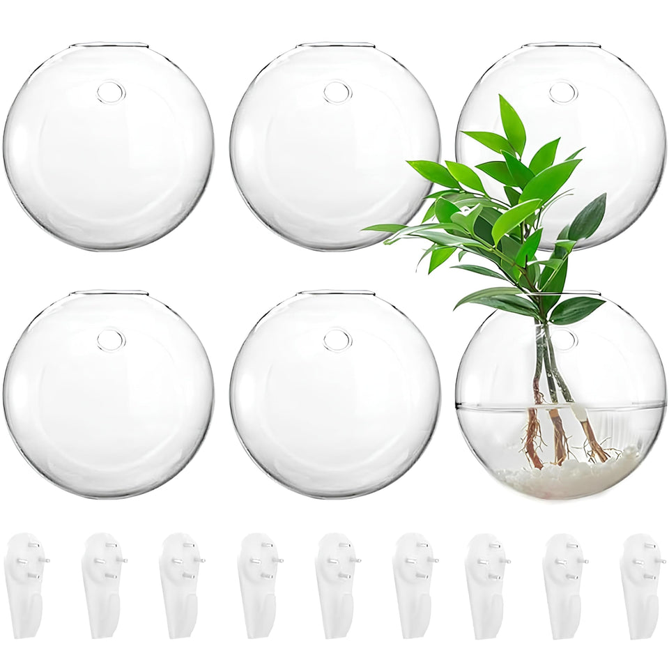 Yarlung 6-pack wall-hanging terrarium globe 4.7 inch adds modern decor for vertical gardening