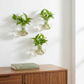 Yarlung glass terrarium for air plants and succulents enhances home aesthetics