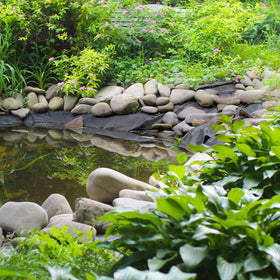 Yarlung fish-safe liner protects habitat for koi and other pond life.