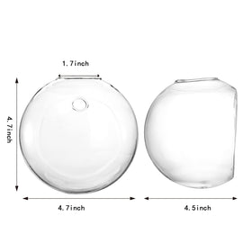 Yarlung glass oblate terrarium for clear indoor plant display