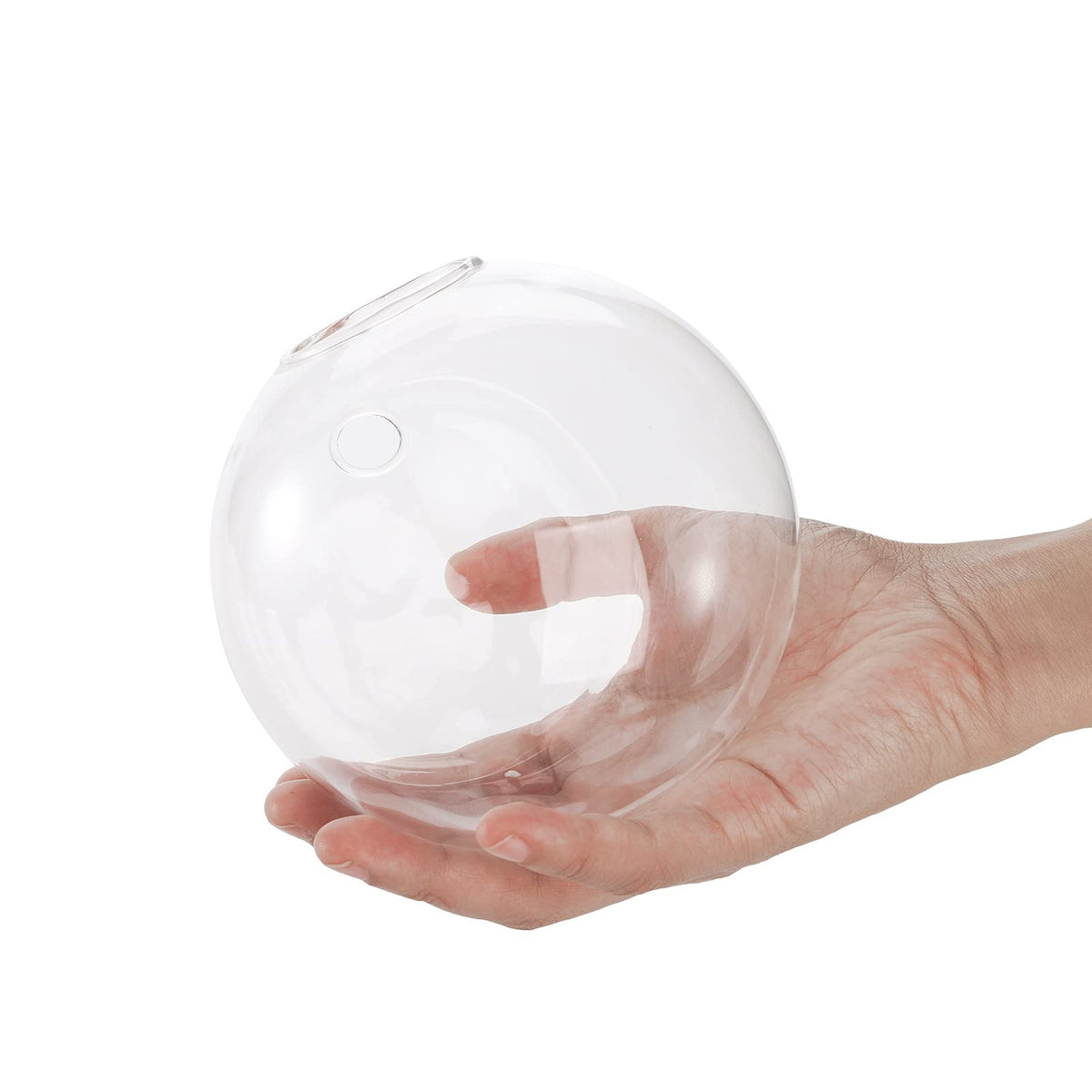 Yarlung wall mount terrarium back hole enables stable hanging