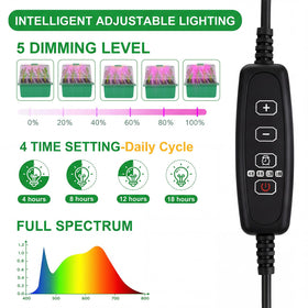 YAUNGEL intelligent controller timer ensuring consistent lighting across growth stages.