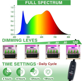 YAUNGEL intelligent controller ensures consistent light cycles for healthy start