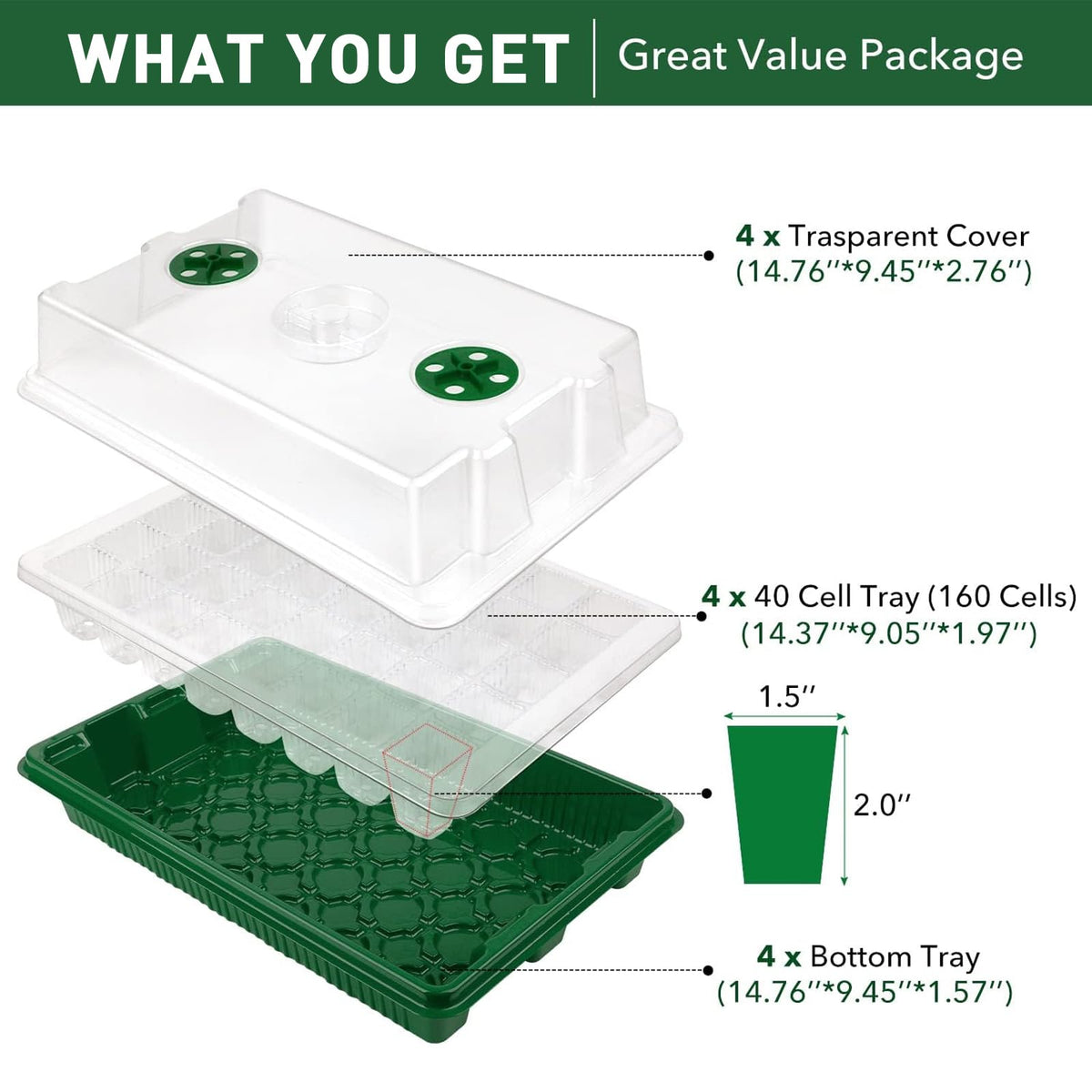 YAUNGEL taller lid accommodates larger seedlings before transplanting.