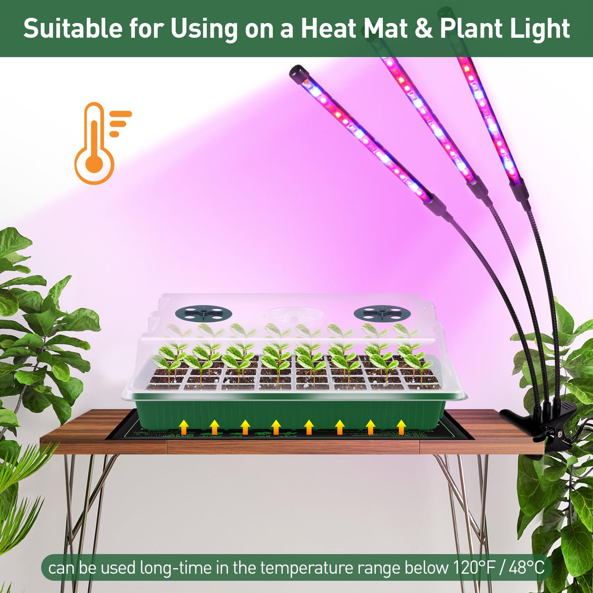 YAUNGEL ventilation windows enable precise humidity and airflow during germination.