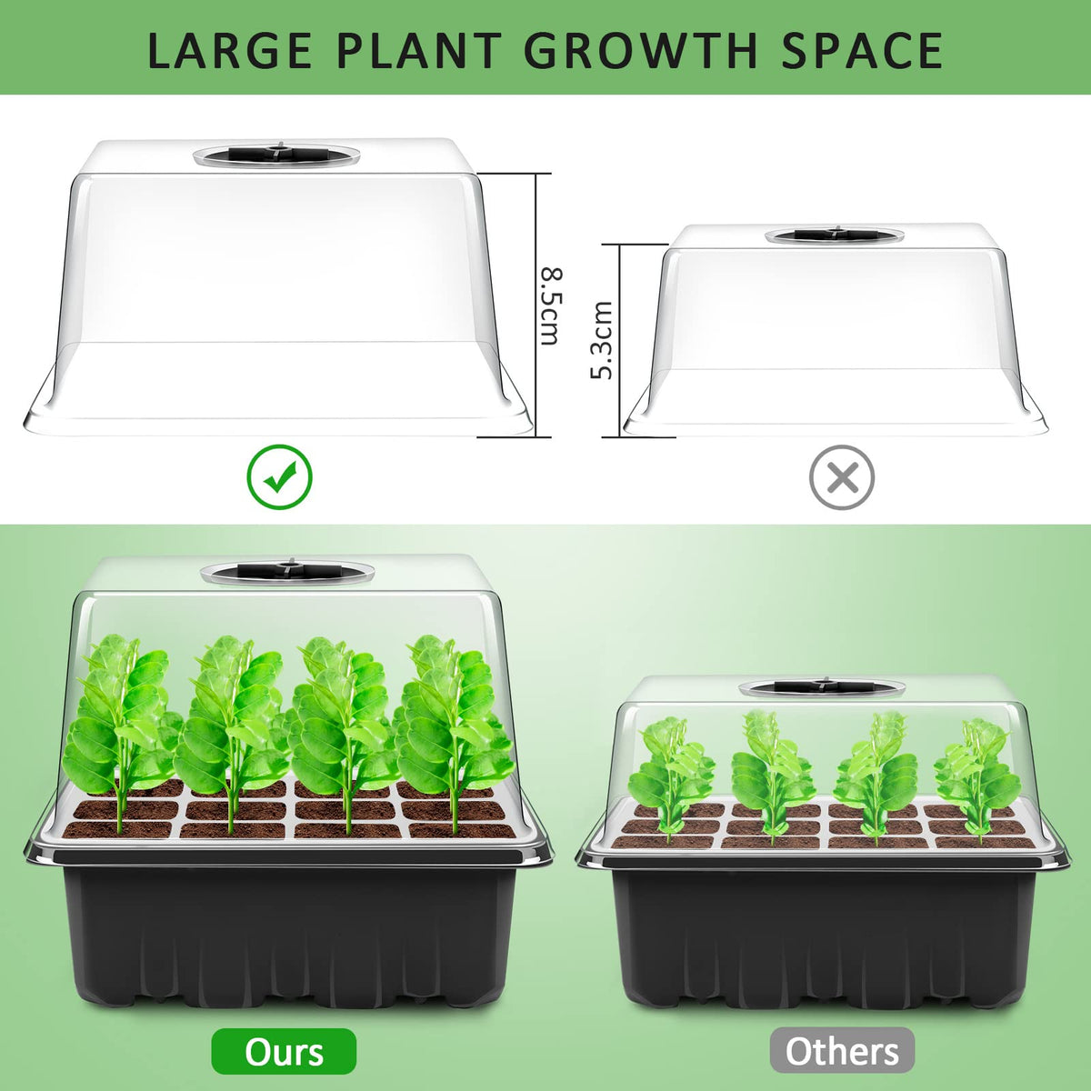 YAUNGEL heightened lid close-up showing extra space for growth.