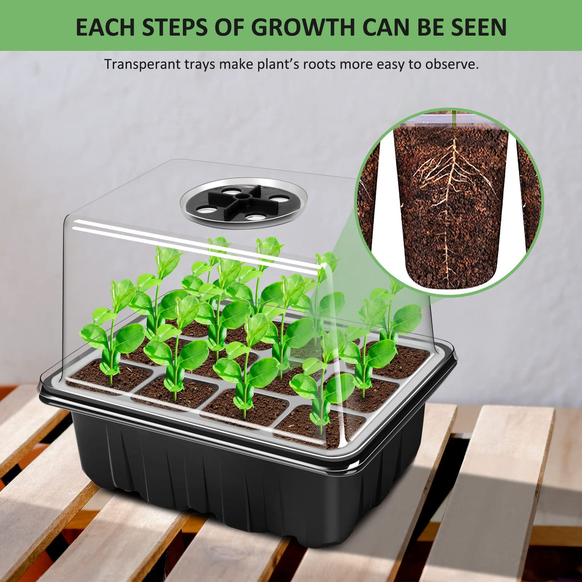 YAUNGEL transparent lid allows growth monitoring at a glance.