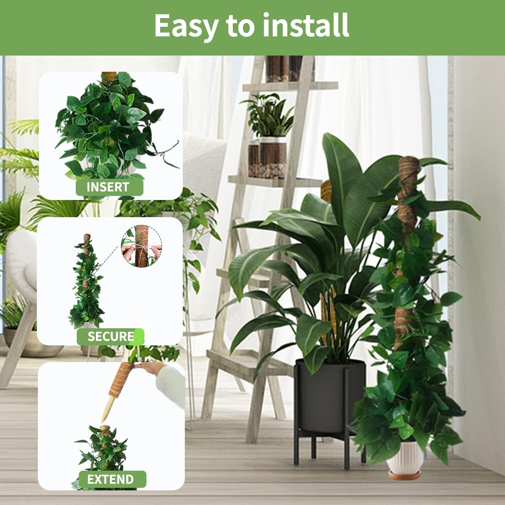 YAWAHOME coconut fiber core preserves moisture around aerial roots.