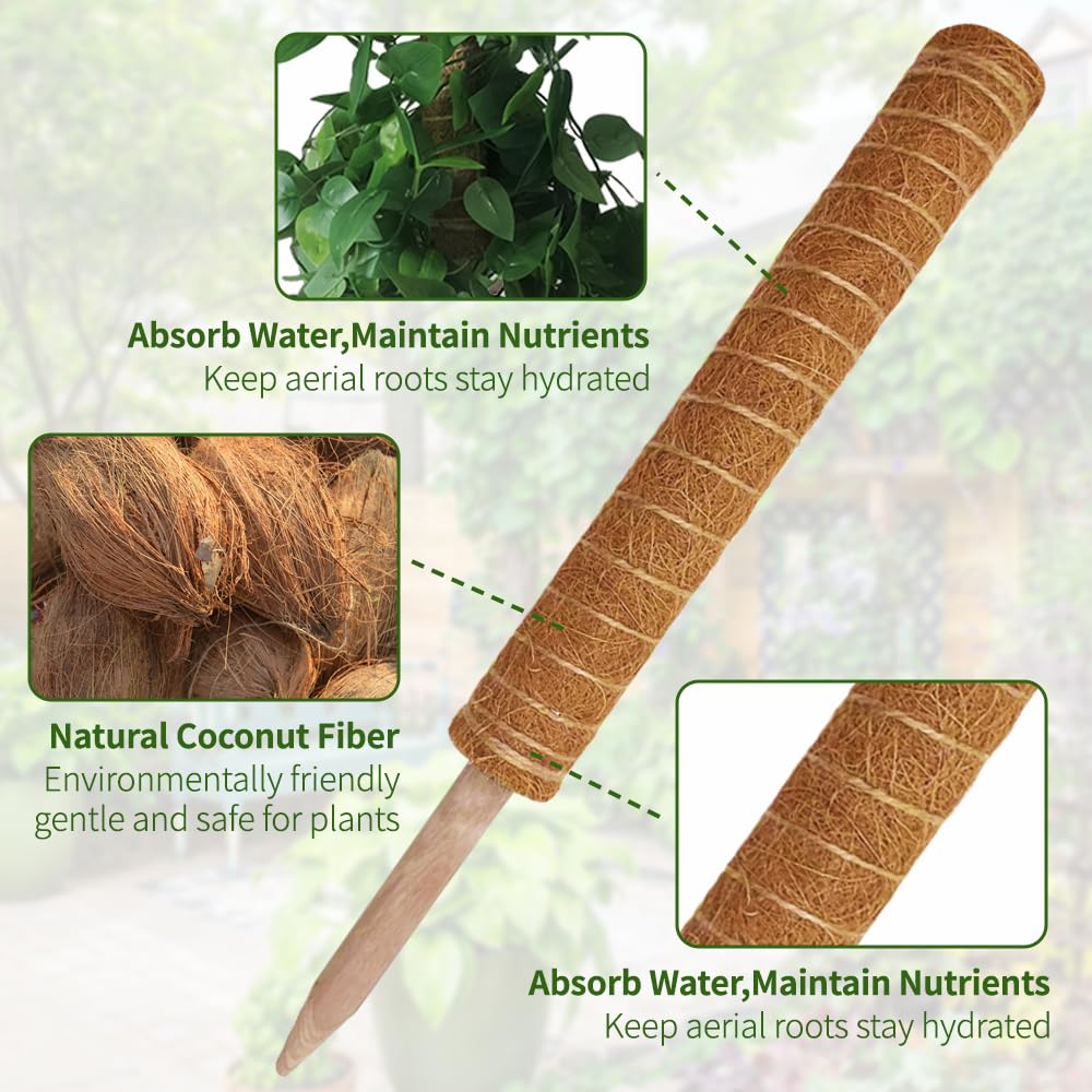 YAWAHOME moss pole in use with Monstera demonstrating upright climbing support.