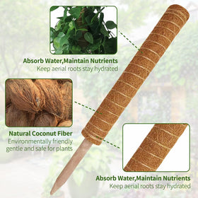 YAWAHOME moss pole in use with Monstera demonstrating upright climbing support.