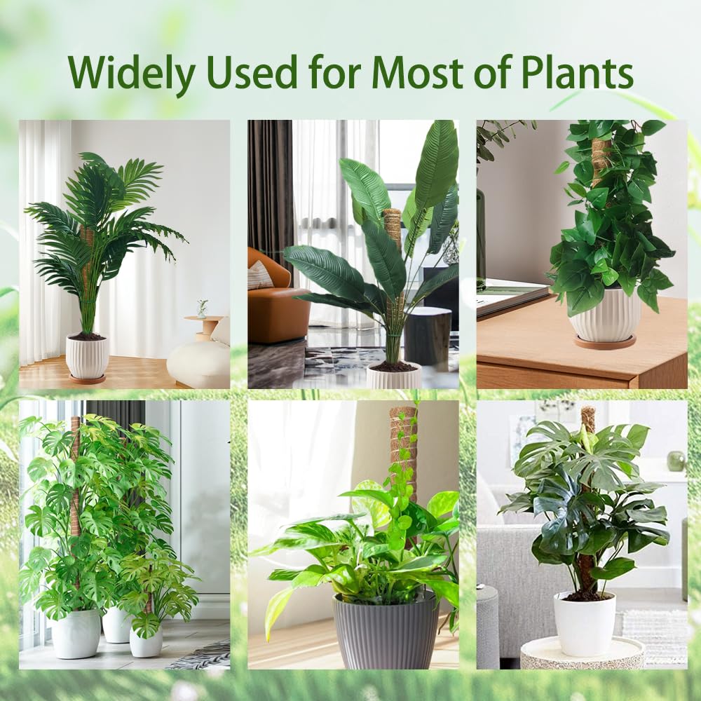 YAWAHOME natural moss aesthetic enhances indoor plant displays.