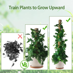 YAWAHOME wooden base plug shown for safe soil insertion without harming roots.