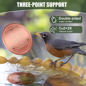 Yayiog birdbath disk inside bowl demonstrating easy in-place activation