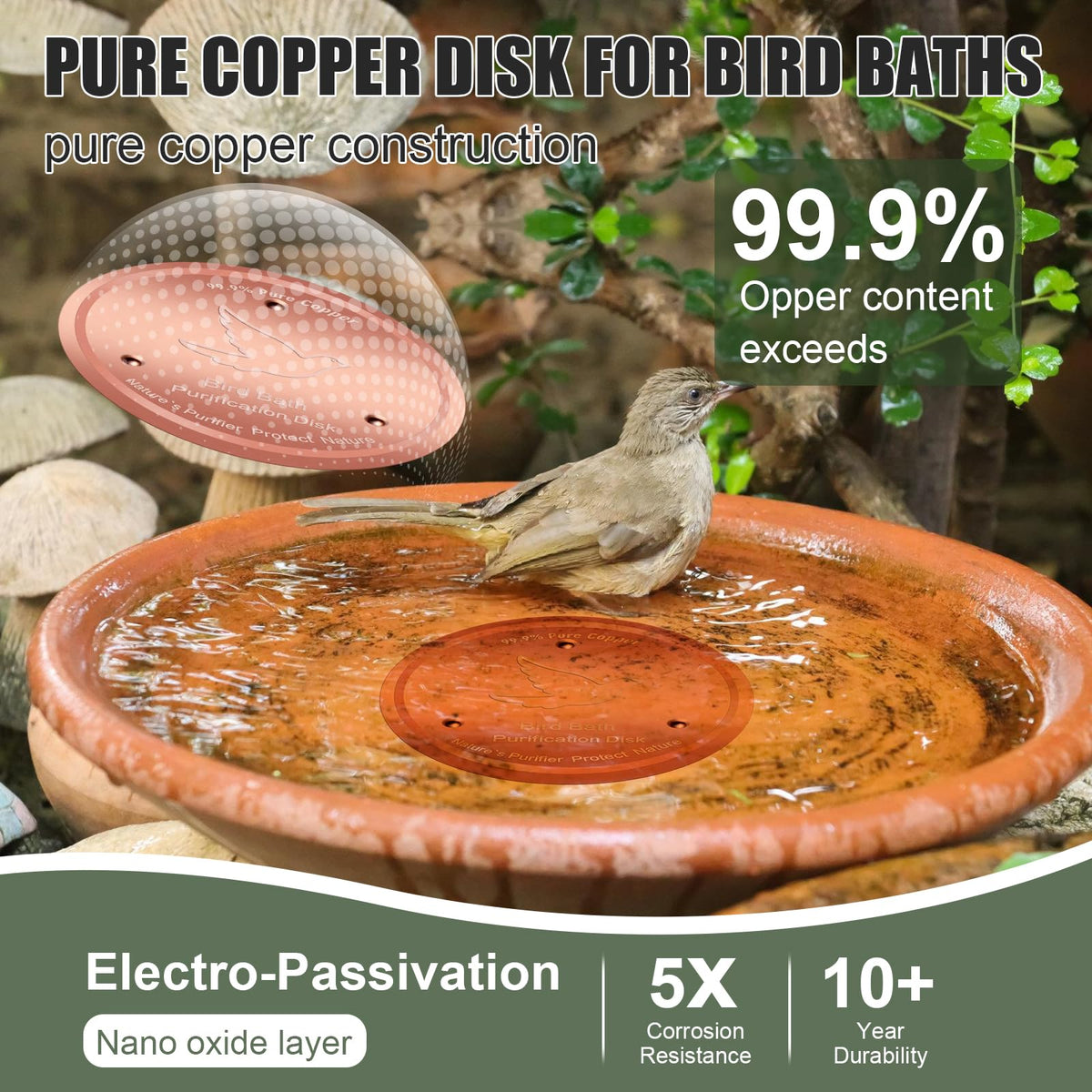 Yayiog pure copper disk close-up with natural patina formation
