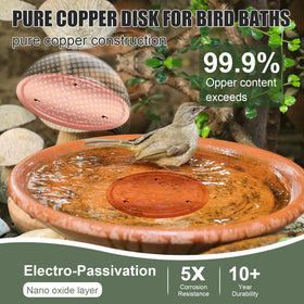 Yayiog pure copper disk close-up with natural patina formation