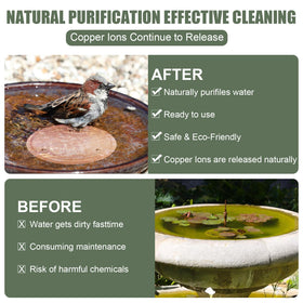 Yayiog sturdy installation of disk in outdoor bird bath