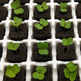 Suitable for indoor and outdoor gardening with hydroponics support