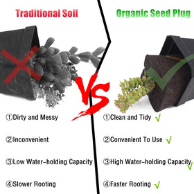 Rapid root sponge supports faster germination and stronger root systems