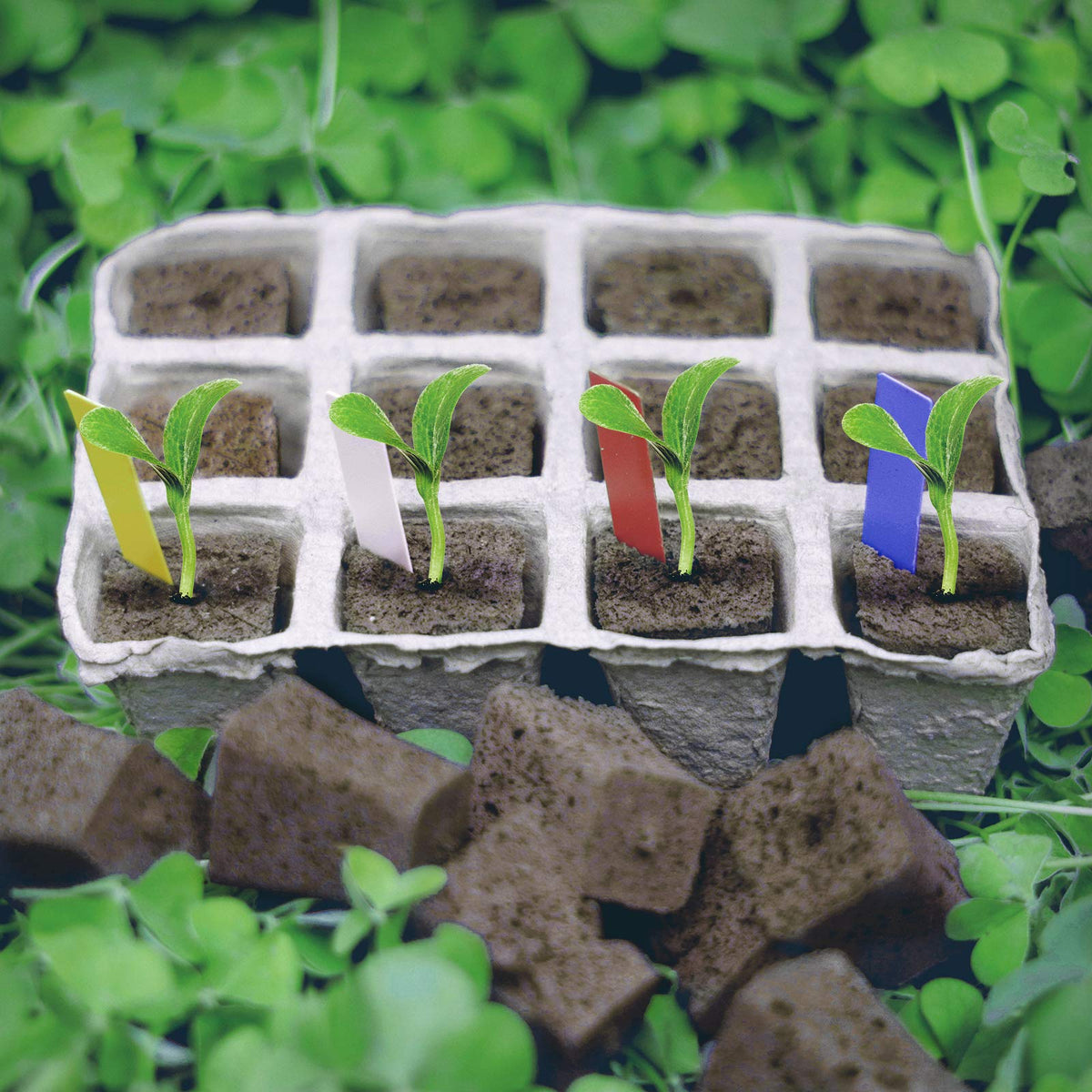 Compact size fits standard seedling trays and pots