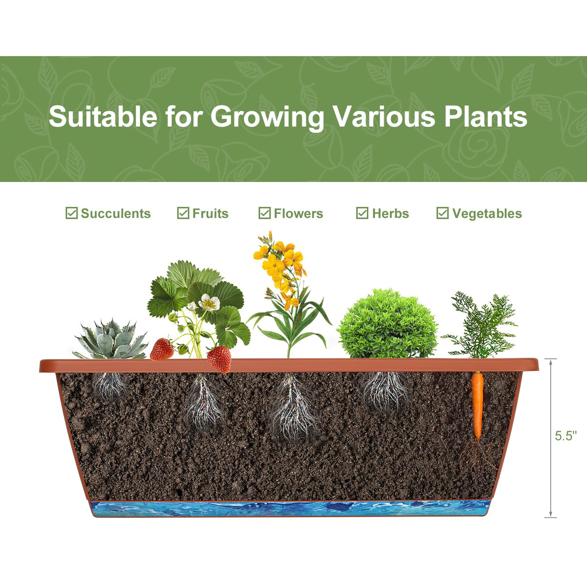 YBING bottom water tray helps maintain consistent moisture for plants.