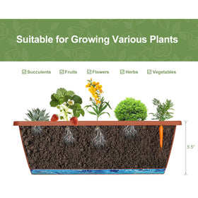 YBING bottom water tray helps maintain consistent moisture for plants.