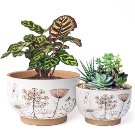YBX YIBOXUAN 8-inch ceramic pot with clean glaze and drainage for healthy indoor plants.