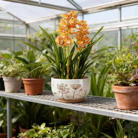 YBX YIBOXUAN ceramic planter makes a thoughtful gift for plant lovers.