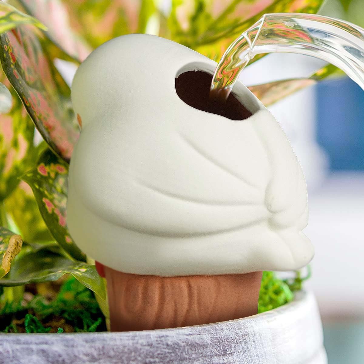 YFDB indoor outdoor water globes provide easy, automated plant care