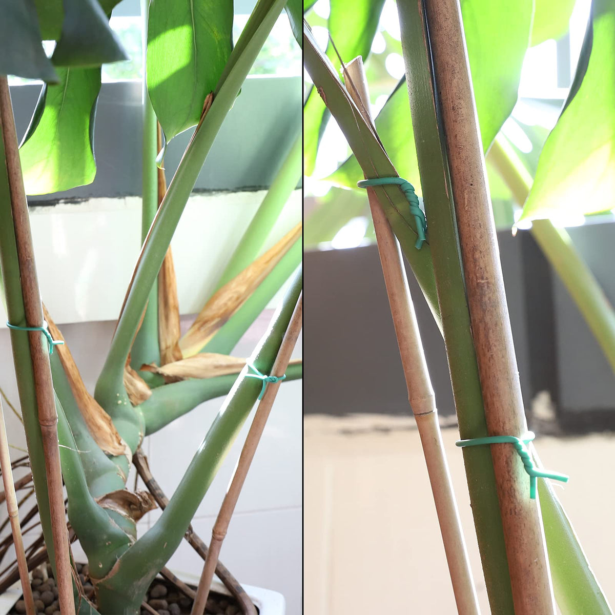 YDSL climbing-plant ties secure vines on trellises with discreet green color.