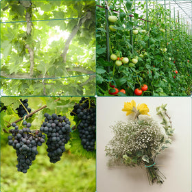Durable, weather-ready YDSL garden tie resists wind and rain